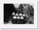 5Group30 * Mexican Passionist Sisters * 1024 x 726 * (137KB)